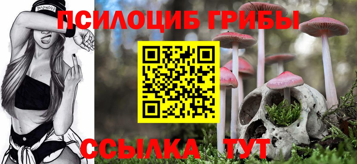 Галлюциногенные грибы Cubensis  Вход с VPN  Галлюциногенные грибы Magic Shrooms  Чебоксары 