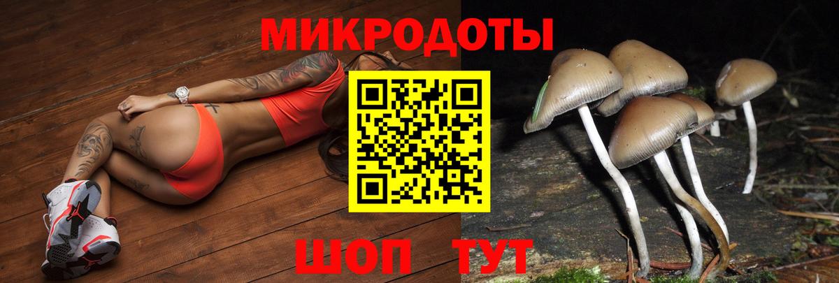 Галлюциногенные грибы прущие грибы Чебоксары